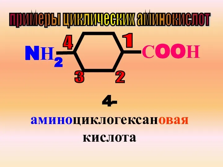 примеры циклических аминокислот СOOН NН2 1 2 3 4 4-аминоциклогексановая кислота