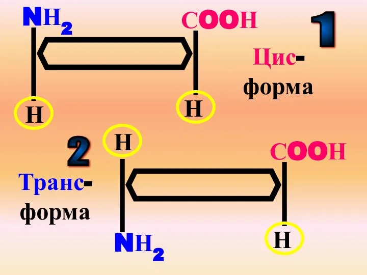 СOOН NН2 Н Н Цис-форма 1 СOOН NН2 Н Н Транс-форма 2