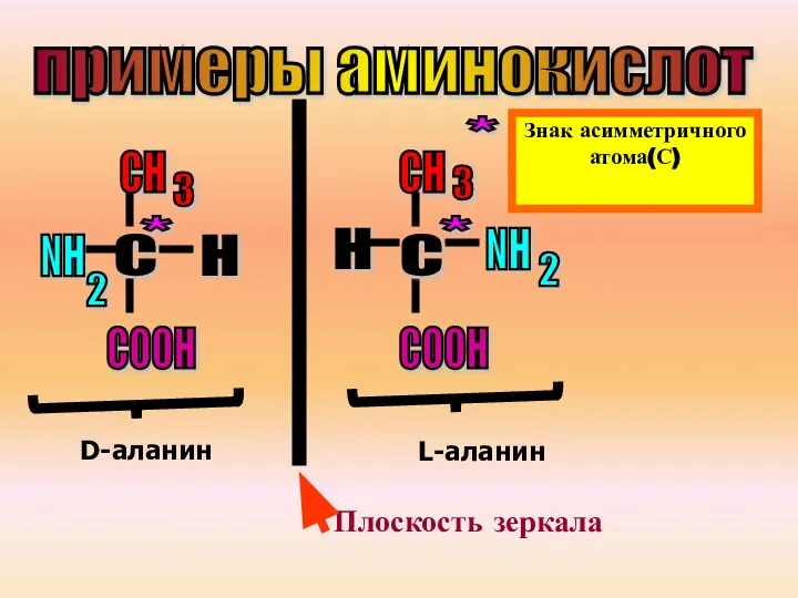 С СН СН NH NH H H COOH COOH * * D-аланин