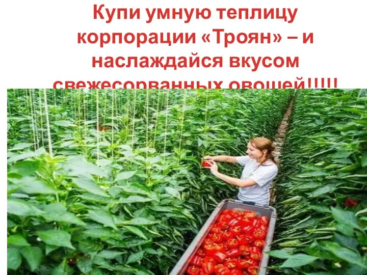 Купи умную теплицу корпорации «Троян» – и наслаждайся вкусом свежесорванных овощей!!!!!