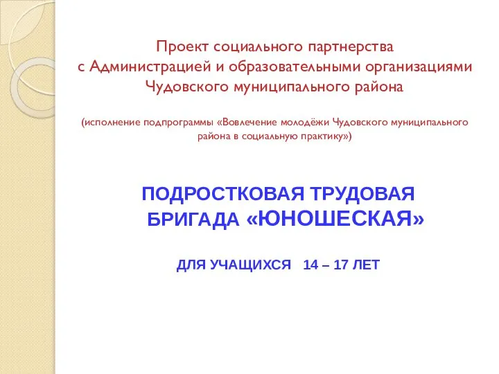 Проект социального партнерства с Администрацией и образовательными организациями Чудовского муниципального района (исполнение