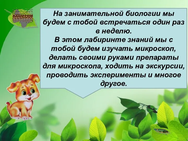 На занимательной биологии мы будем с тобой встречаться один раз в неделю.