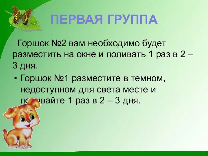 ПЕРВАЯ ГРУППА Горшок №2 вам необходимо будет разместить на окне и поливать