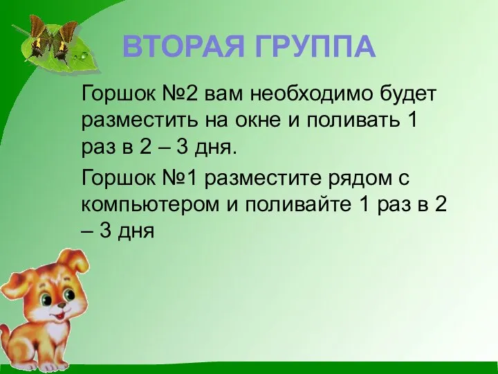 ВТОРАЯ ГРУППА Горшок №2 вам необходимо будет разместить на окне и поливать