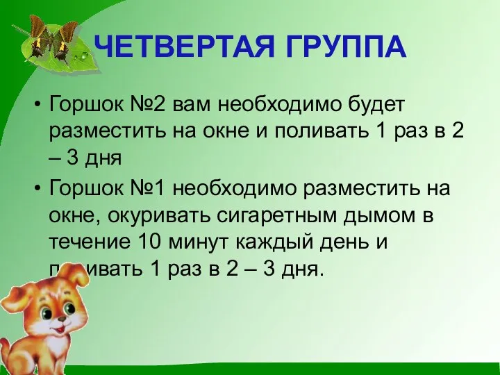 ЧЕТВЕРТАЯ ГРУППА Горшок №2 вам необходимо будет разместить на окне и поливать