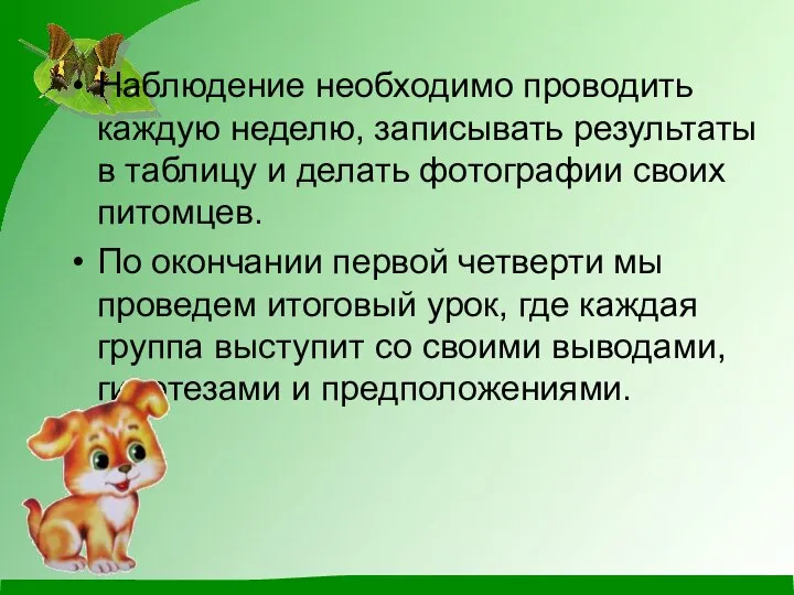 Наблюдение необходимо проводить каждую неделю, записывать результаты в таблицу и делать фотографии