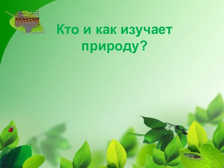 Кто и как изучает природу?