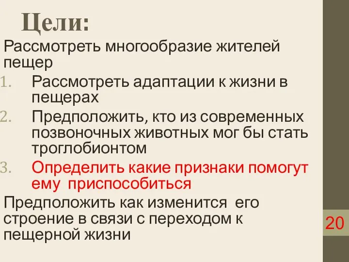 Цели: Рассмотреть многообразие жителей пещер Рассмотреть адаптации к жизни в пещерах Предположить,