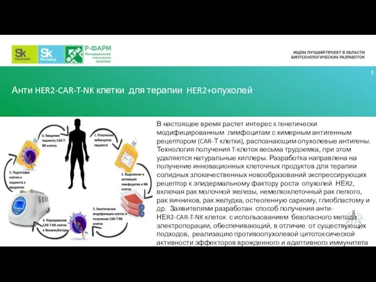 Анти HER2-CAR-T-NK клетки для терапии HER2+опухолей В настоящее время растет интерес к