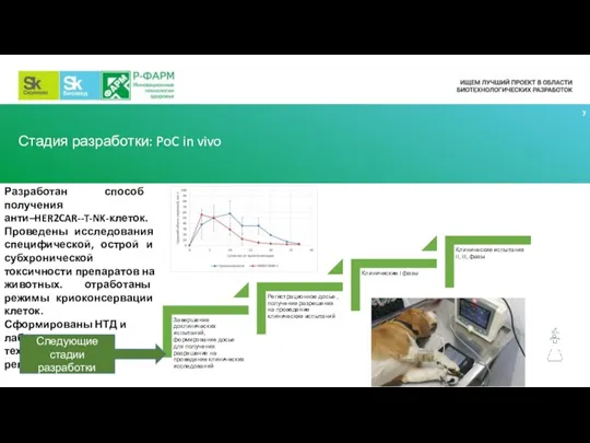 Стадия разработки: PoC in vivo Разработан способ получения анти–HER2CAR--T-NK-клеток. Проведены исследования специфической,