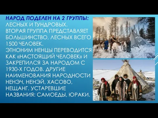 НАРОД ПОДЕЛЕН НА 2 ГРУППЫ: ЛЕСНЫХ И ТУНДРОВЫХ. ВТОРАЯ ГРУППА ПРЕДСТАВЛЯЕТ БОЛЬШИНСТВО,