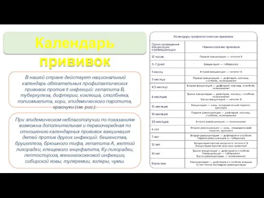 Календарь прививок В нашей стране действует национальный календарь обязательных профилактических прививок против