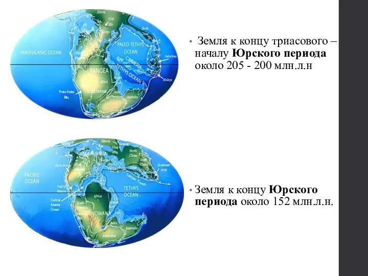 Земля к концу триасового – началу Юрского периода около 205 - 200