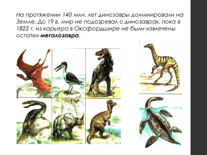 На протяжении 140 млн. лет динозавры доминировали на Земле. До 19 в.