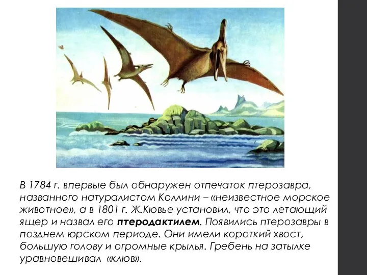 В 1784 г. впервые был обнаружен отпечаток птерозавра, названного натуралистом Коллини –