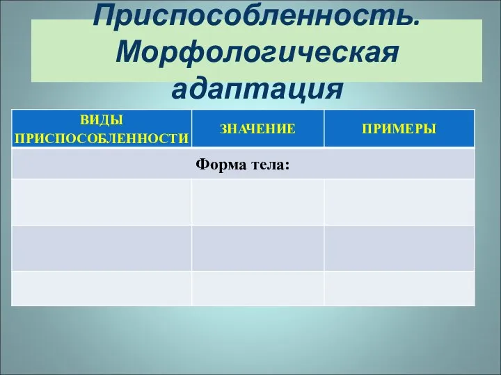 Приспособленность. Морфологическая адаптация