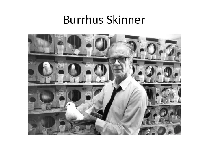 Burrhus Skinner