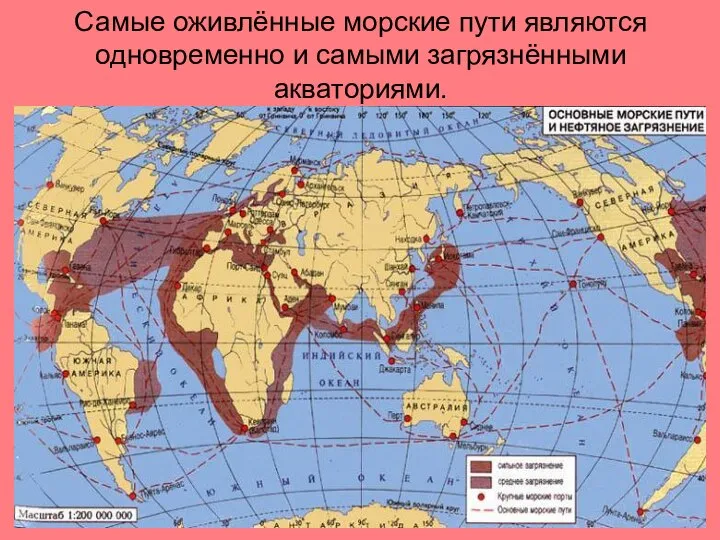 Самые оживлённые морские пути являются одновременно и самыми загрязнёнными акваториями.