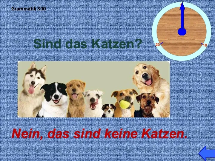 Grammatik 300 Sind das Katzen? Nein, das sind keine Katzen.