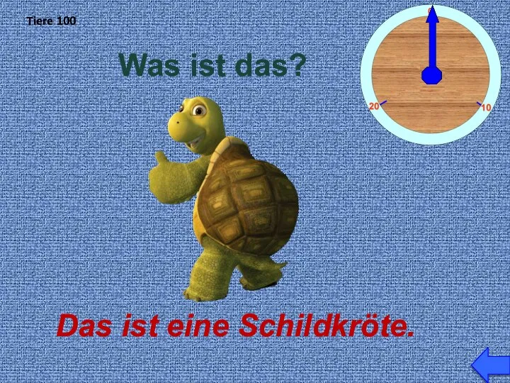 Tiere 100 Was ist das? Das ist eine Schildkröte.