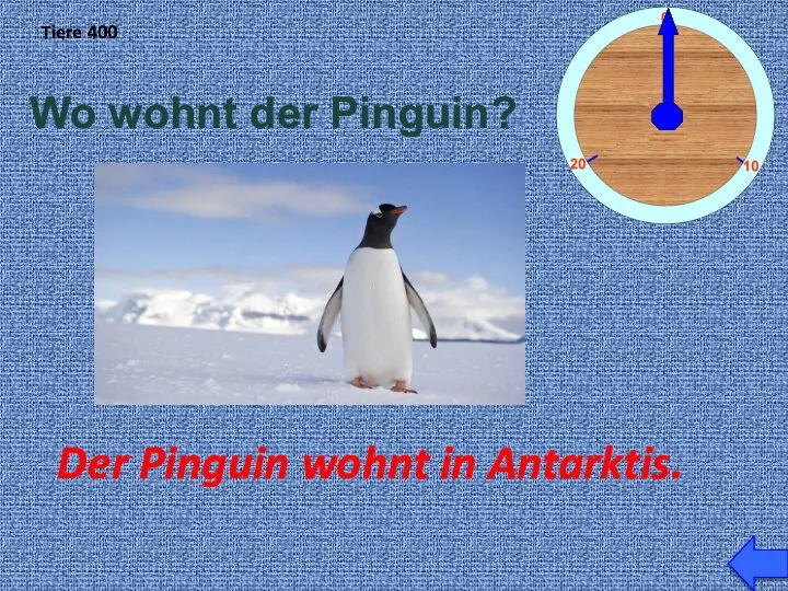 Tiere 400 Wo wohnt der Pinguin? Der Pinguin wohnt in Antarktis.