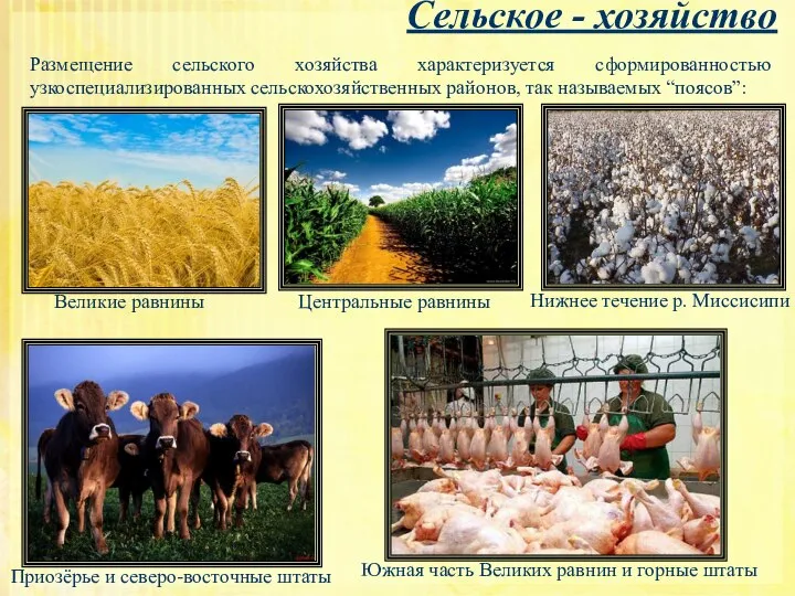 Сельское - хозяйство Размещение сельского хозяйства характеризуется сформированностью узкоспециализированных сельскохозяйственных районов, так