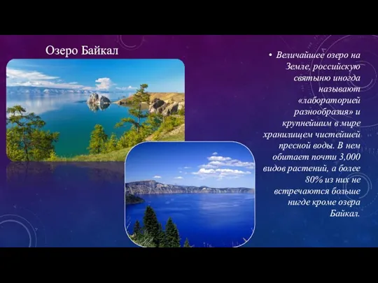 Величайшее озеро на Земле, российскую святыню иногда называют «лабораторией разнообразия» и крупнейшим