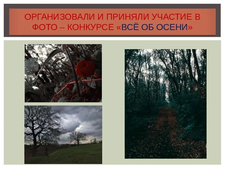 ОРГАНИЗОВАЛИ И ПРИНЯЛИ УЧАСТИЕ В ФОТО – КОНКУРСЕ «ВСЁ ОБ ОСЕНИ»