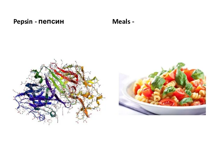 Pepsin - пепсин Meals -