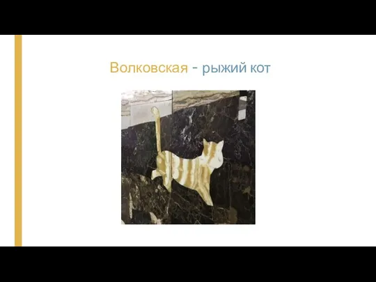 Волковская - рыжий кот