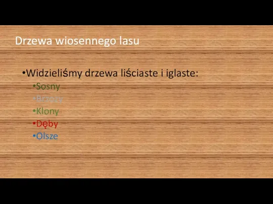 Drzewa wiosennego lasu Widzieliśmy drzewa liściaste i iglaste: Sosny Brzozy Klony Dęby Olsze