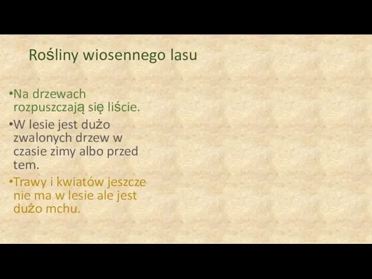 Rośliny wiosennego lasu Na drzewach rozpuszczają się liście. W lesie jest dużo