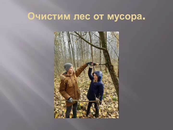 Очистим лес от мусора.