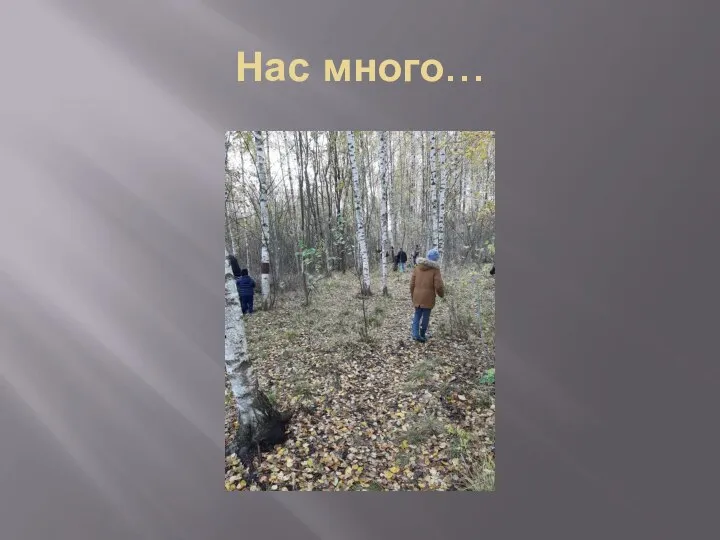 Нас много…