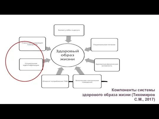 Компоненты системы здорового образа жизни (Тихомиров С.М., 2017)