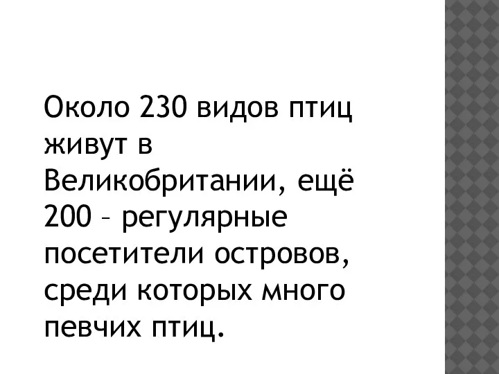 Около 230 видов птиц живут в Великобритании, ещё 200 – регулярные посетители