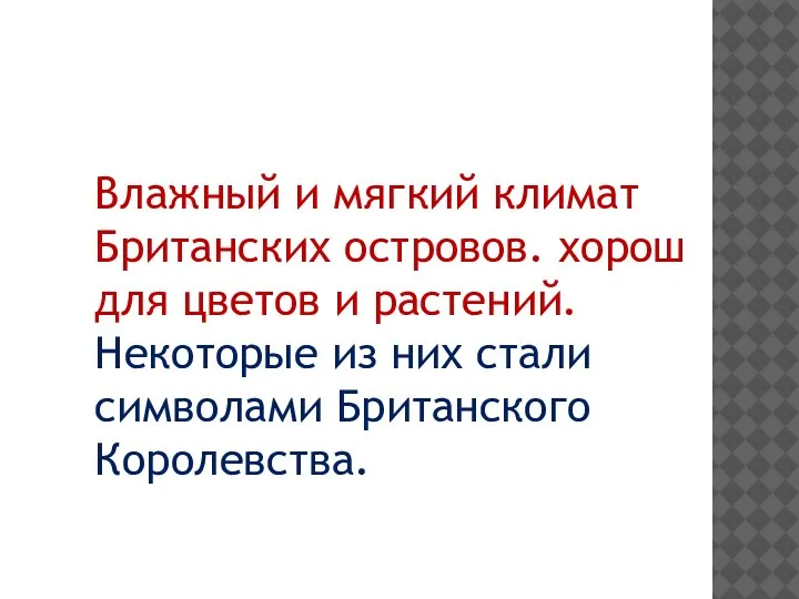 Влажный и мягкий климат Британских островов. хорош для цветов и растений. Некоторые