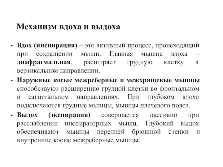 Механизм вдоха и выдоха Вдох (инспирация) – это активный процесс, происходящий при