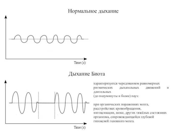 Нормальное дыхание