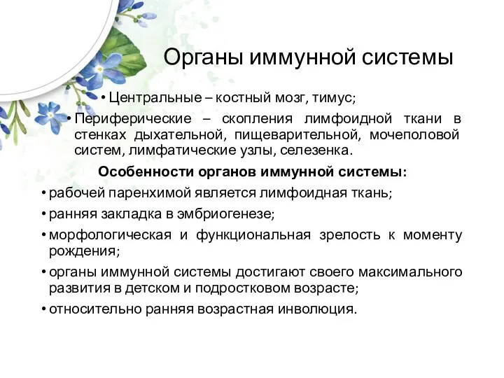 Органы иммунной системы Центральные – костный мозг, тимус; Периферические – скопления лимфоидной