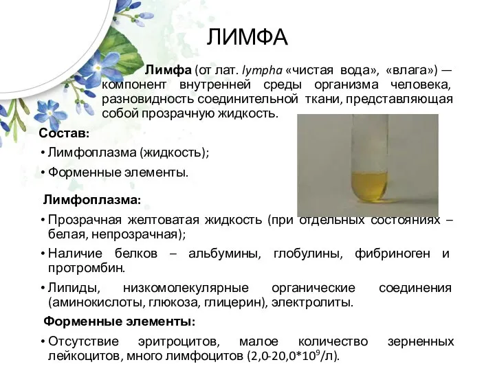 ЛИМФА Лимфа (от лат. lympha «чистая вода», «влага») — компонент внутренней среды