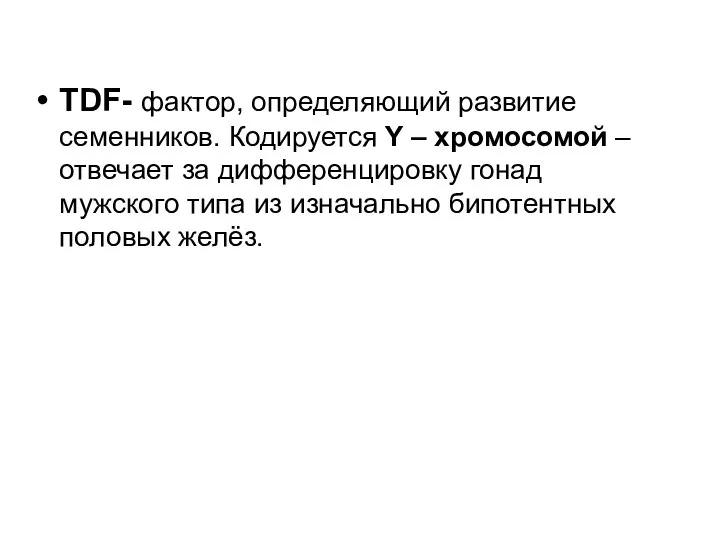 TDF- фактор, определяющий развитие семенников. Кодируется Y – хромосомой – отвечает за