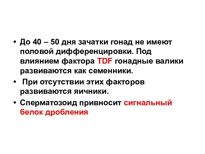 До 40 – 50 дня зачатки гонад не имеют половой дифференцировки. Под