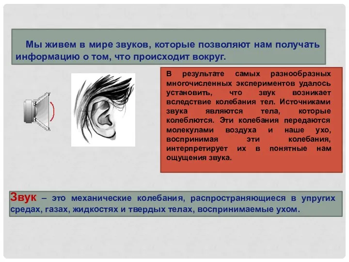 Мы живем в мире звуков, которые позволяют нам получать информацию о том,