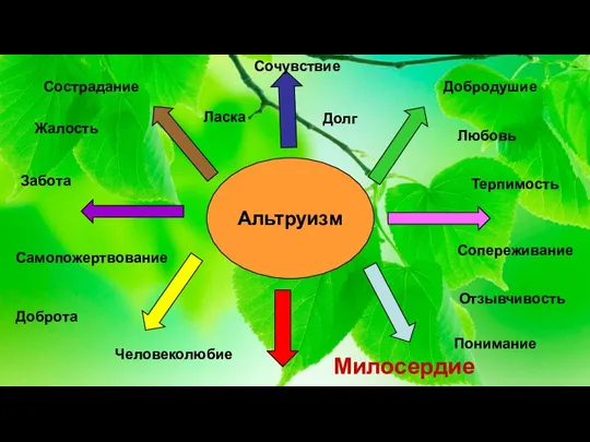 Альтруизм Сострадание Сочувствие Добродушие Терпимость Сопереживание Отзывчивость Милосердие Понимание Самопожертвование Забота Доброта