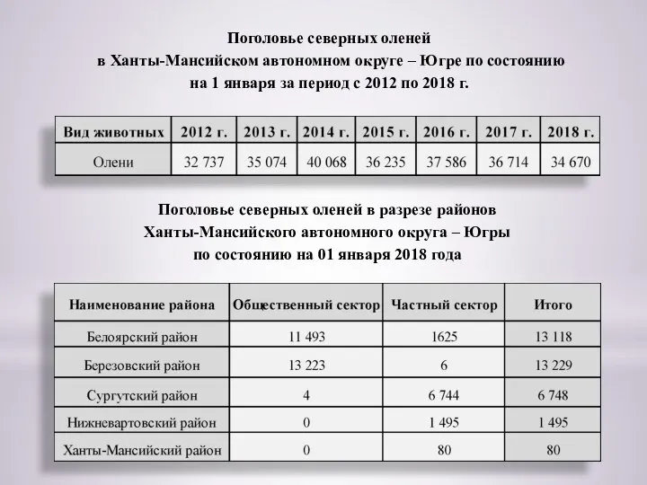 Поголовье северных оленей в разрезе районов Ханты-Мансийского автономного округа – Югры по