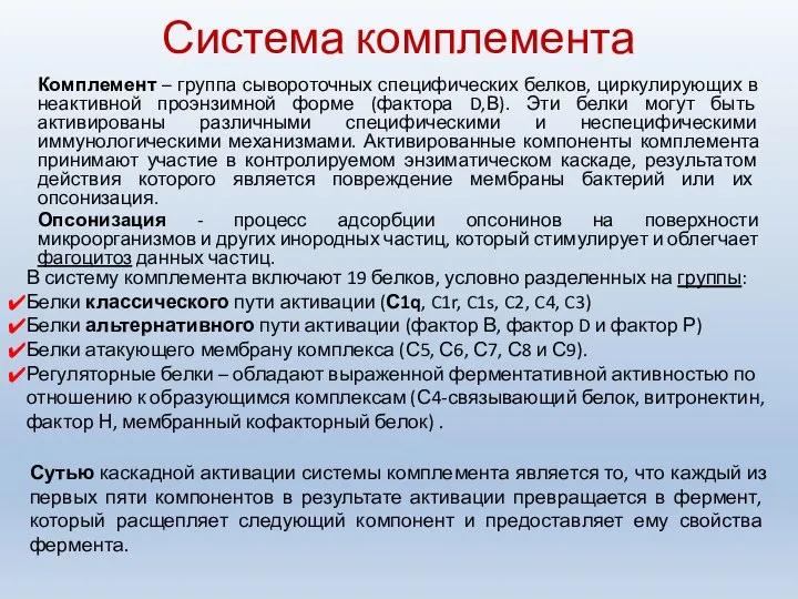 Система комплемента Комплемент – группа сывороточных специфических белков, циркулирующих в неактивной проэнзимной