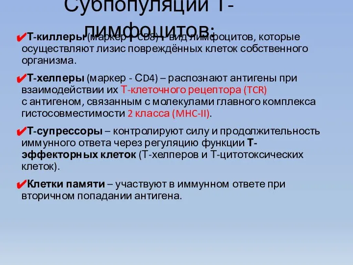 Субпопуляции Т-лимфоцитов: Т-киллеры (маркер – CD8) – вид лимфоцитов, которые осуществляют лизис