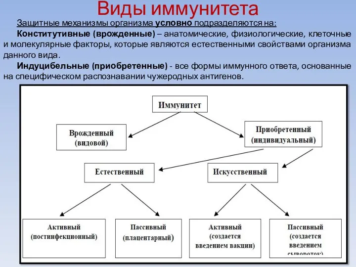 Виды иммунитета Защитные механизмы организма условно подразделяются на: Конститутивные (врожденные) – анатомические,