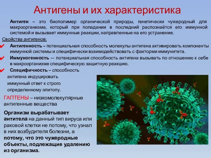 Антигены и их характеристика Антиген – это биополимер органической природы, генетически чужеродный